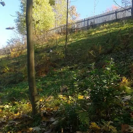 Dom wakacyjny Dom Pod Skrzydłem